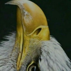 Or