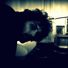 Larimeaustylehostile