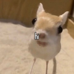 スノイー