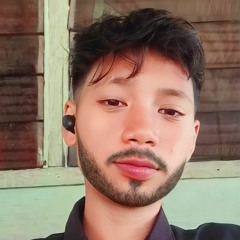 selott.stf