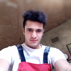 ali gholami
