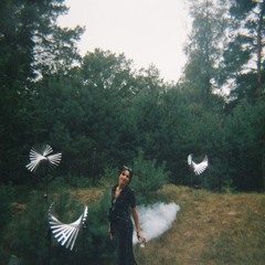 A. Margarida Fontes Silva