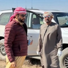 bin7arib