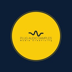 Plug Audio Samples