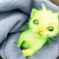 𝖻𝗋𝗂𝖾 :𝟥