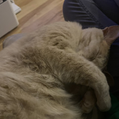 Sam