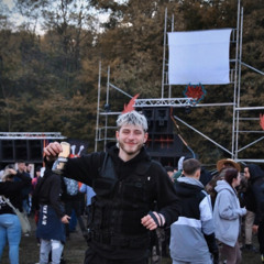 ludo vogel LV