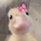 Ducky