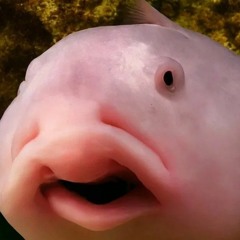 🦄🦄🦄🦄 im a unacorn