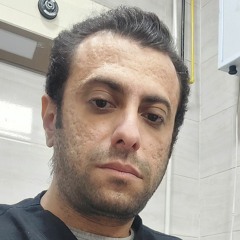 Ibraheim M. Ibraheim