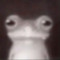 mothsock
