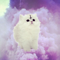 :3