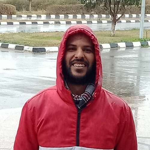 Ahmed Gamal Ahmed’s avatar