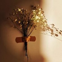 Shahd Elsayed
