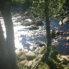 erratic oscillations