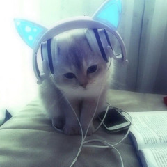 allie :3