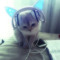 allie :3