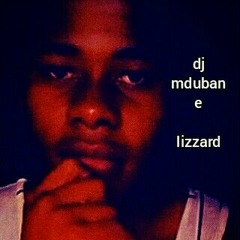 Dj mdubane & lizzard