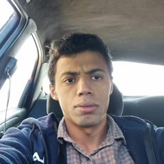 Ahmed Adel Alshref