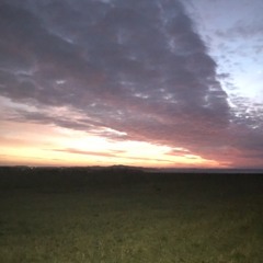 mandagsmystik // monday mystique