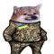 MrBrutuno
