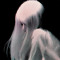 Solus