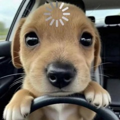 갱생