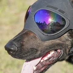 ♪（＾∇＾） ♪