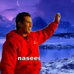 Naser Abdelwaged