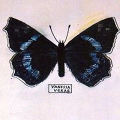 Иулия Баринова-Куделенко