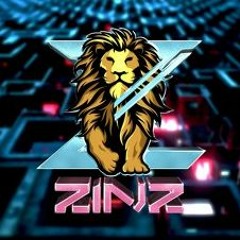 dj ZinZ mcong VinaHouse