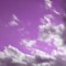 _Fernando.R