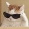 Malte 𝓝𝓲𝓵𝓼𝓼𝓸𝓷