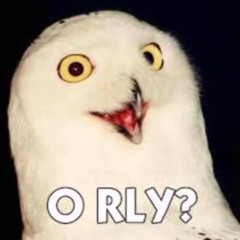 Orly The Owl