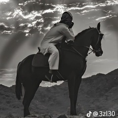 Mohammad Abu Hmeed