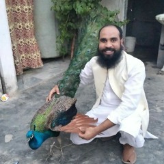 faizi raza