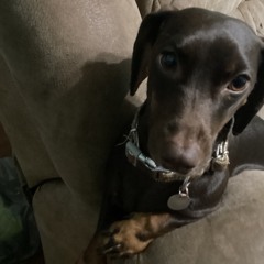 Dawson