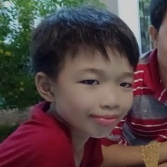 tường vy