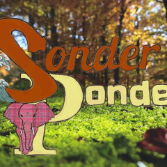 SonderPonder