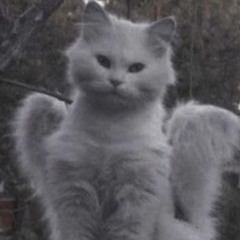 Раиль Тухфатуллов