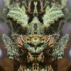 BuddhaRay