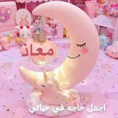 Rodina Moaz