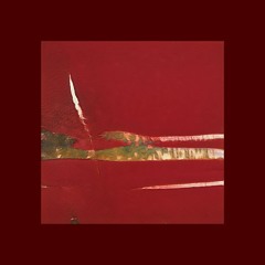 Accipioformica-nidycorhou