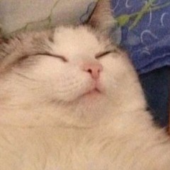 just an old account that i keep for nostalgia