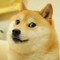 Doge
