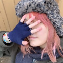 ☆‧₊˚ Lees