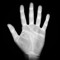 LEFTHANDZERO