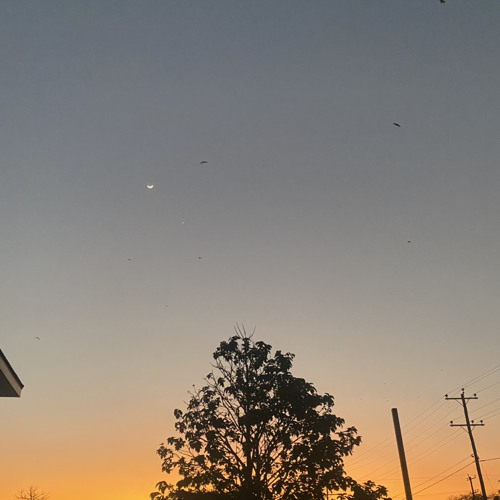 𝐒𝐓𝐄𝐏 𝐈𝐍༺