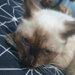 Paul andrick Almacha