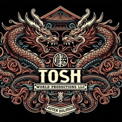 Dj Tosh, The Vinyl Ninja